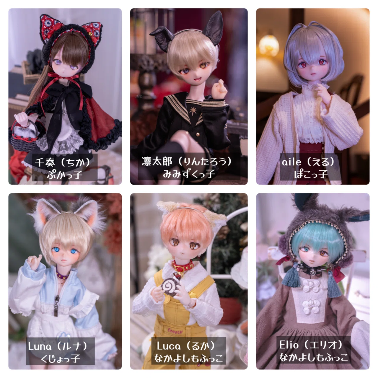 DOLL｜5周年｜UME