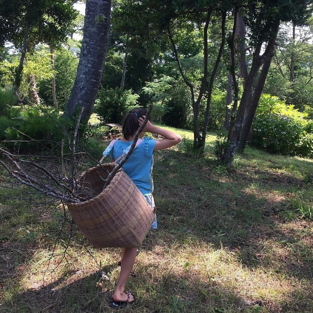 英語で楽しくおうち時間 自然 ミス ムー Mrs M のおうち英語 フォニックス 英語絵本のこと Note