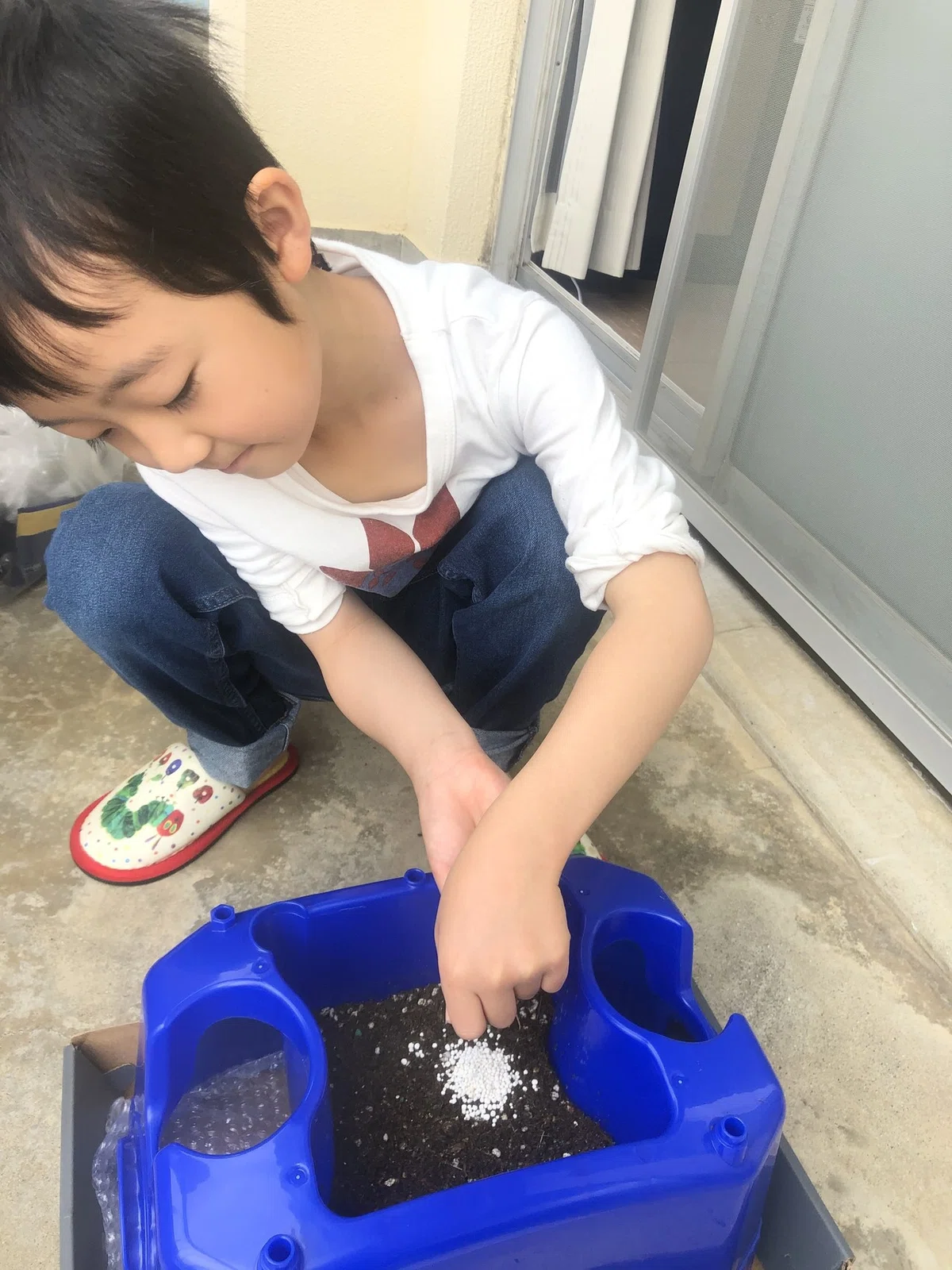 画像1