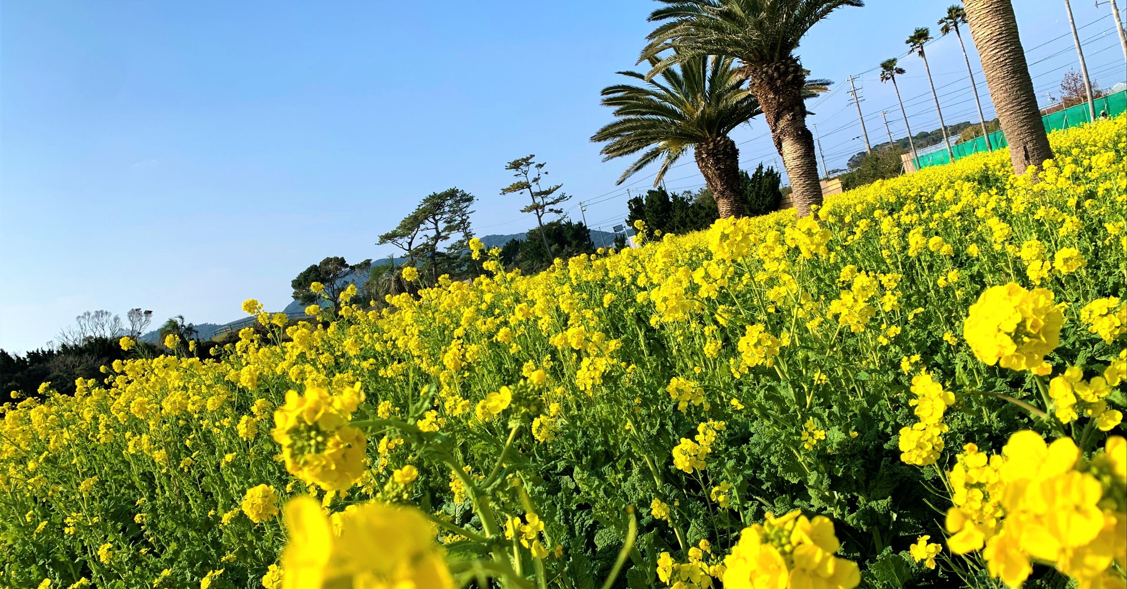 うちの近くを走りに行こう Ride Home Town サイクリングコース 愛知編 公式 ツール ド ニッポン Note