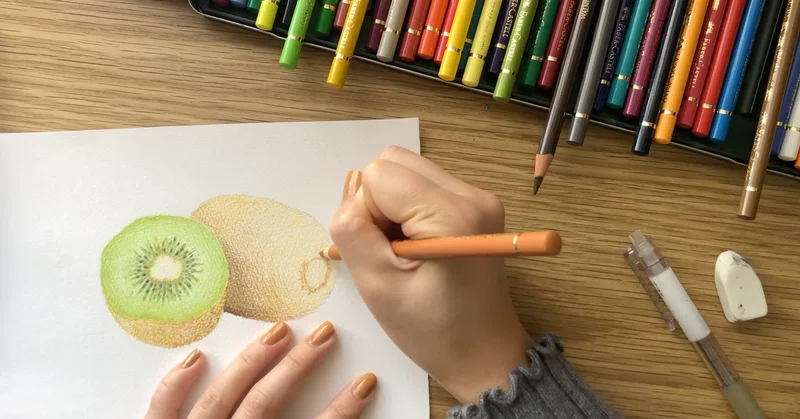 キウイの色鉛筆画 森 みさと 絵とデザイン Note