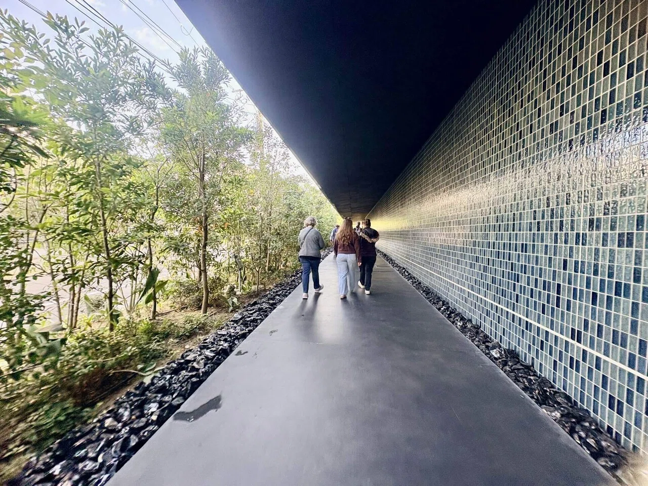 チームラボ バイオヴォルテックス京都＆お花のアイス(新風館）～京都