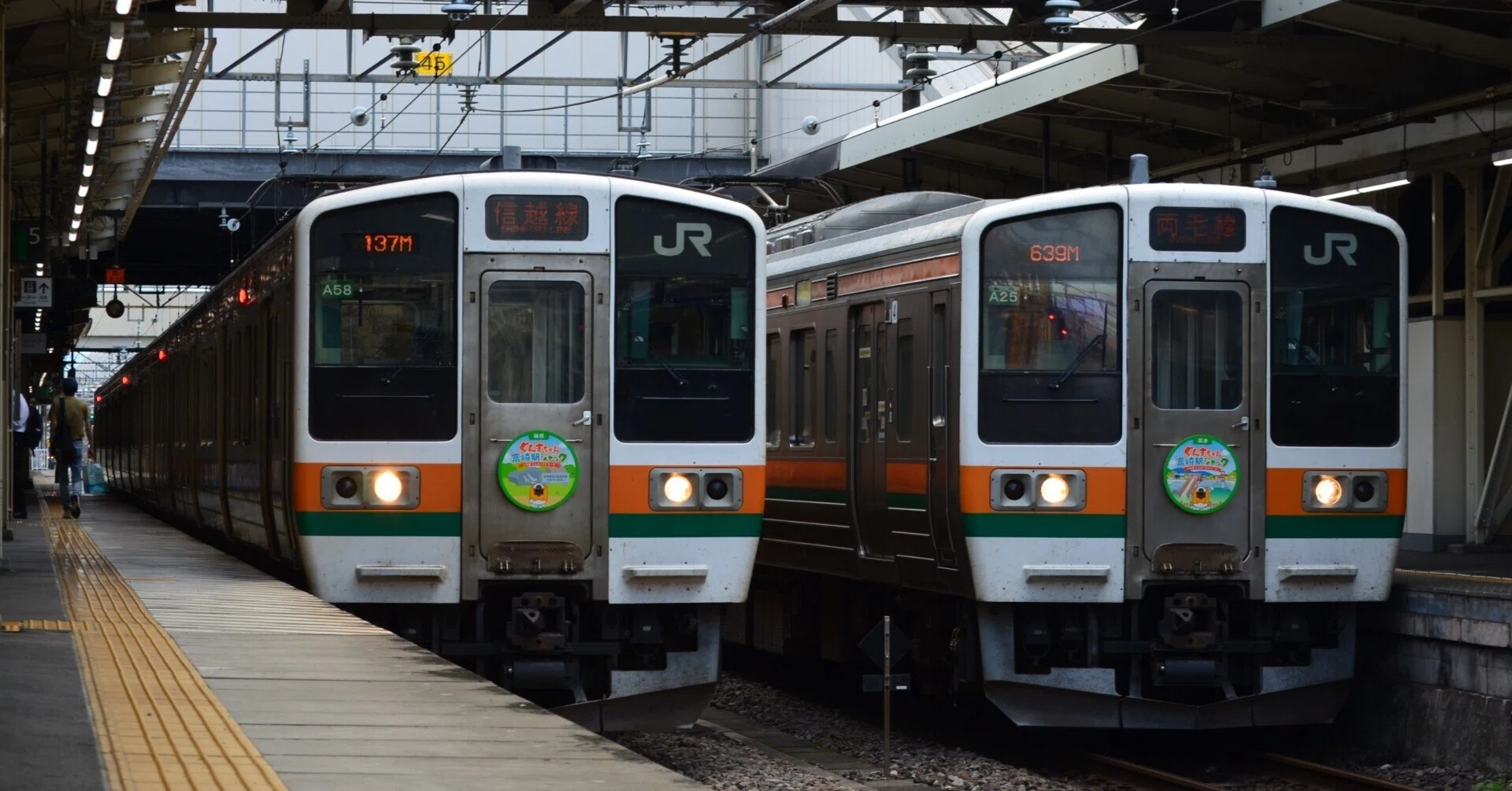 考察】なぜ211系顔の車両はこれほどまでに多くなったのか｜vivace115の