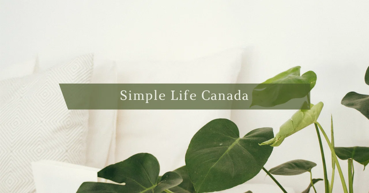 Cleaning Windows When a Storm Comes｜simplelifeca