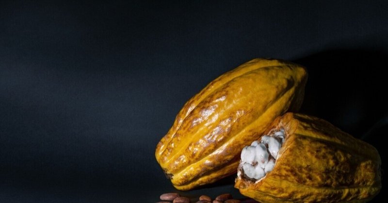 「豊作」が農家を追い詰める　コートジボワール・カカオ固定価格制度の崩壊