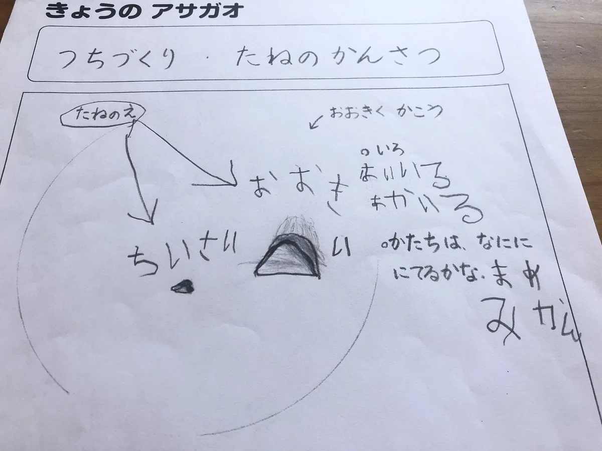 画像9