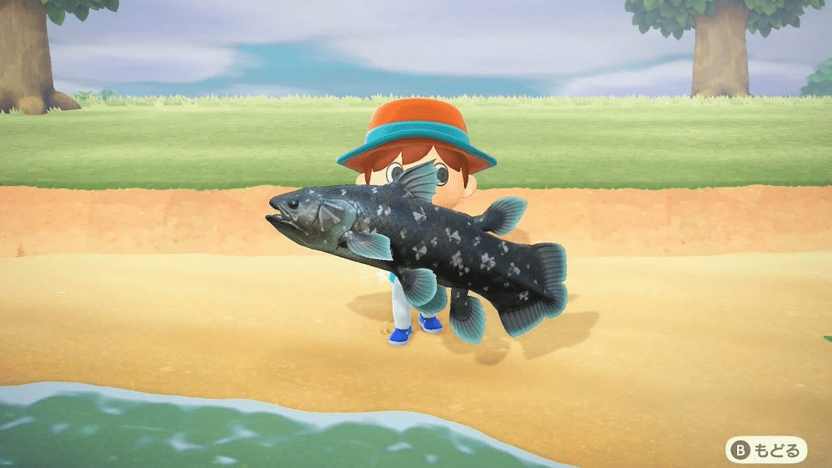 シーラカンスが絶滅しなかった理由は 不味い から サミー パパ2年生 Note