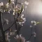 余白とことば