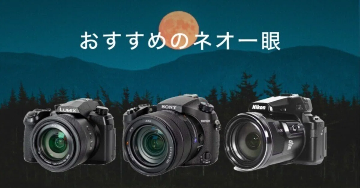ネオ一眼のおすすめ6選！運動会・野鳥に使える選び方とレンタル活用法