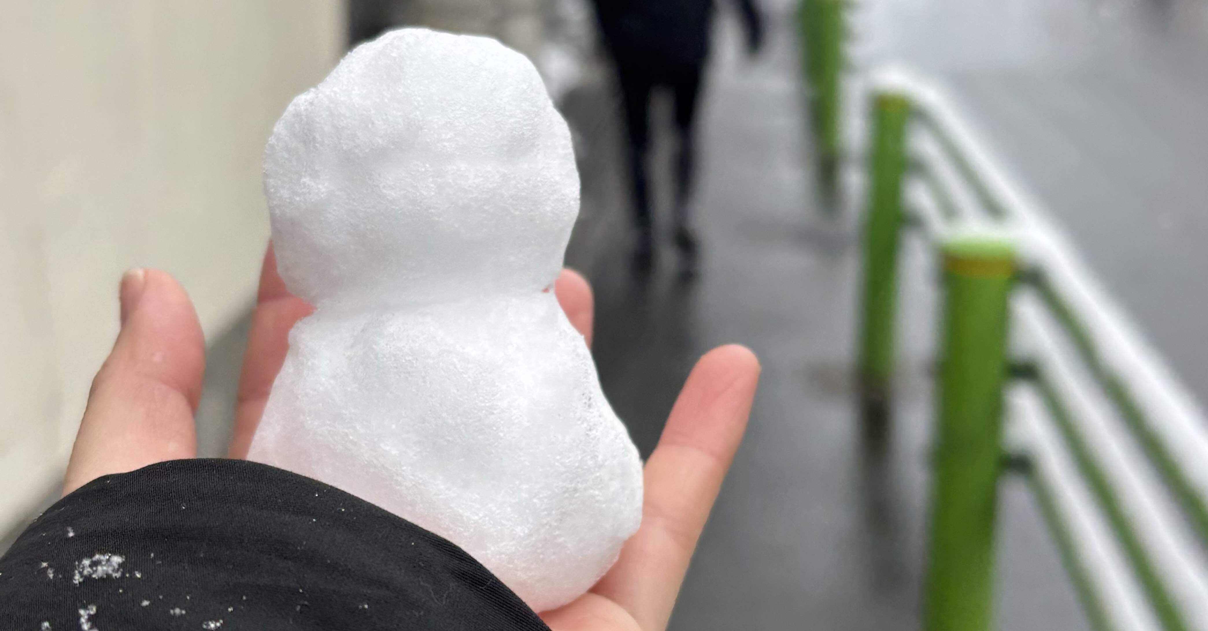 いつか庭で雪だるまを | No.181 2026.2.9｜ぼさ花 | なーんにもしたく