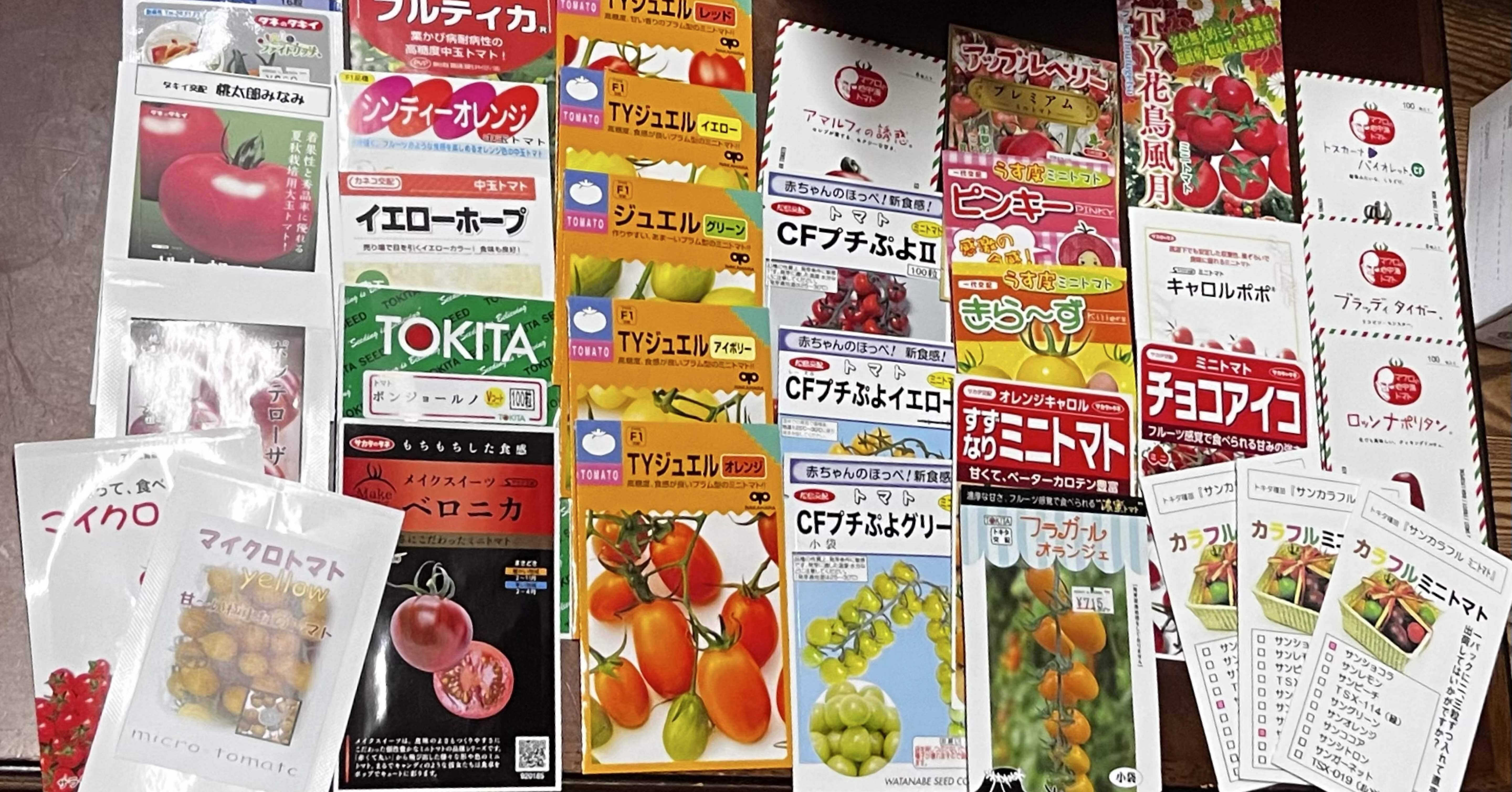 変態農家、今年のトマトは33種類！｜YOKO : 野菜農家・英語講師