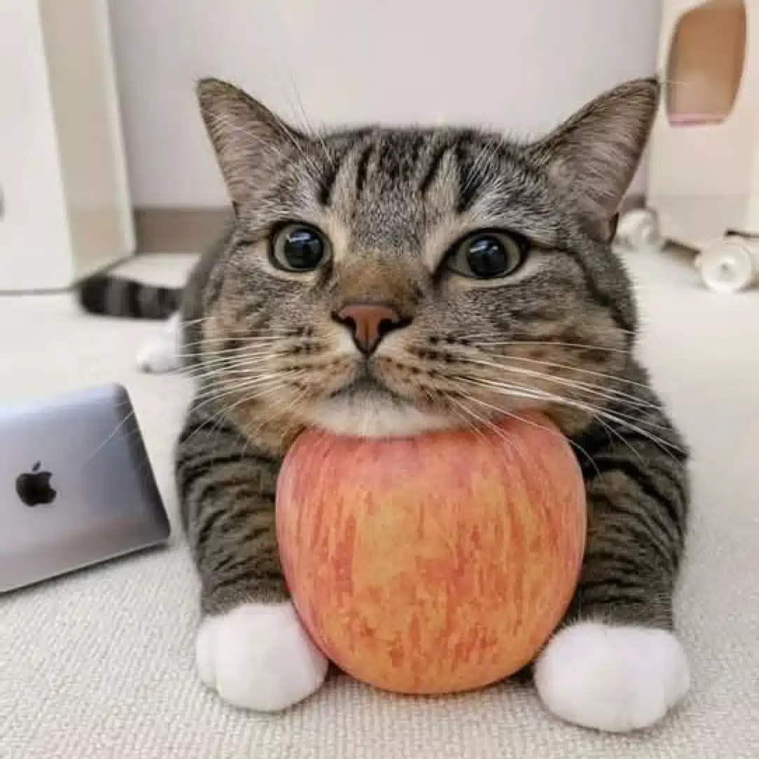 やっけ