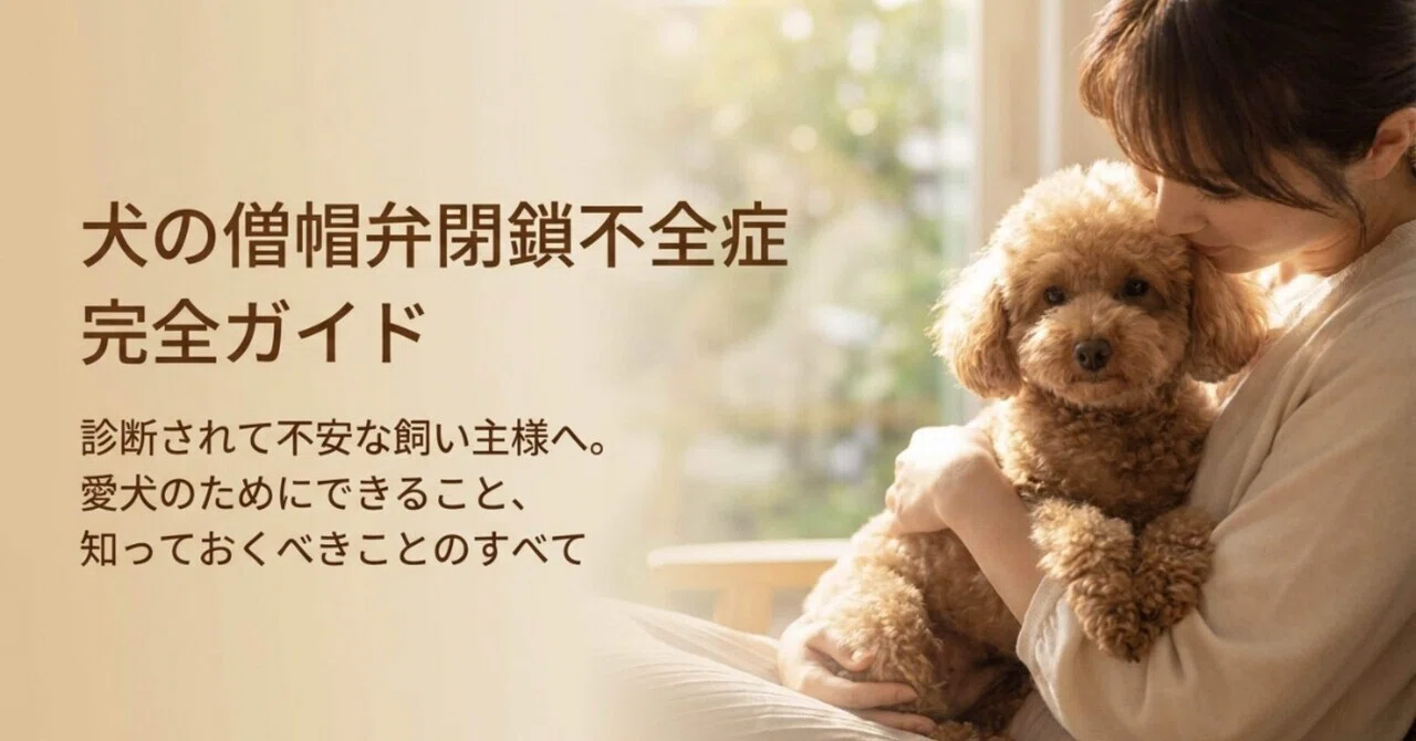 僧帽弁閉鎖不全症〜診断されて不安な飼い主様へ。愛犬のために