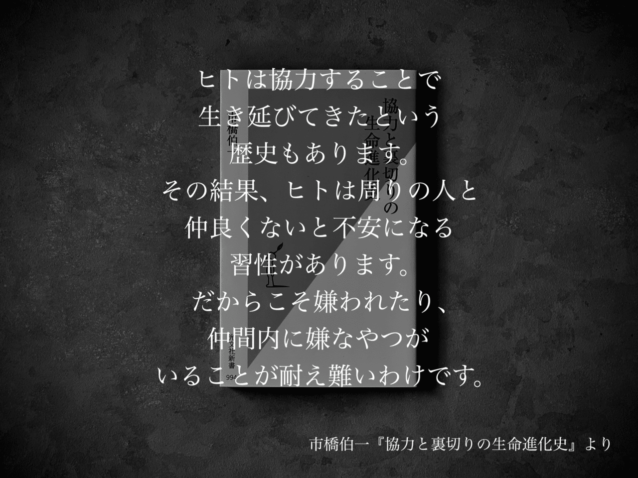 名言集 光文社新書の コトバのチカラ Vol 5 光文社新書 名言集 光文社新書の コトバのチカラ Vol 5 光文社新書