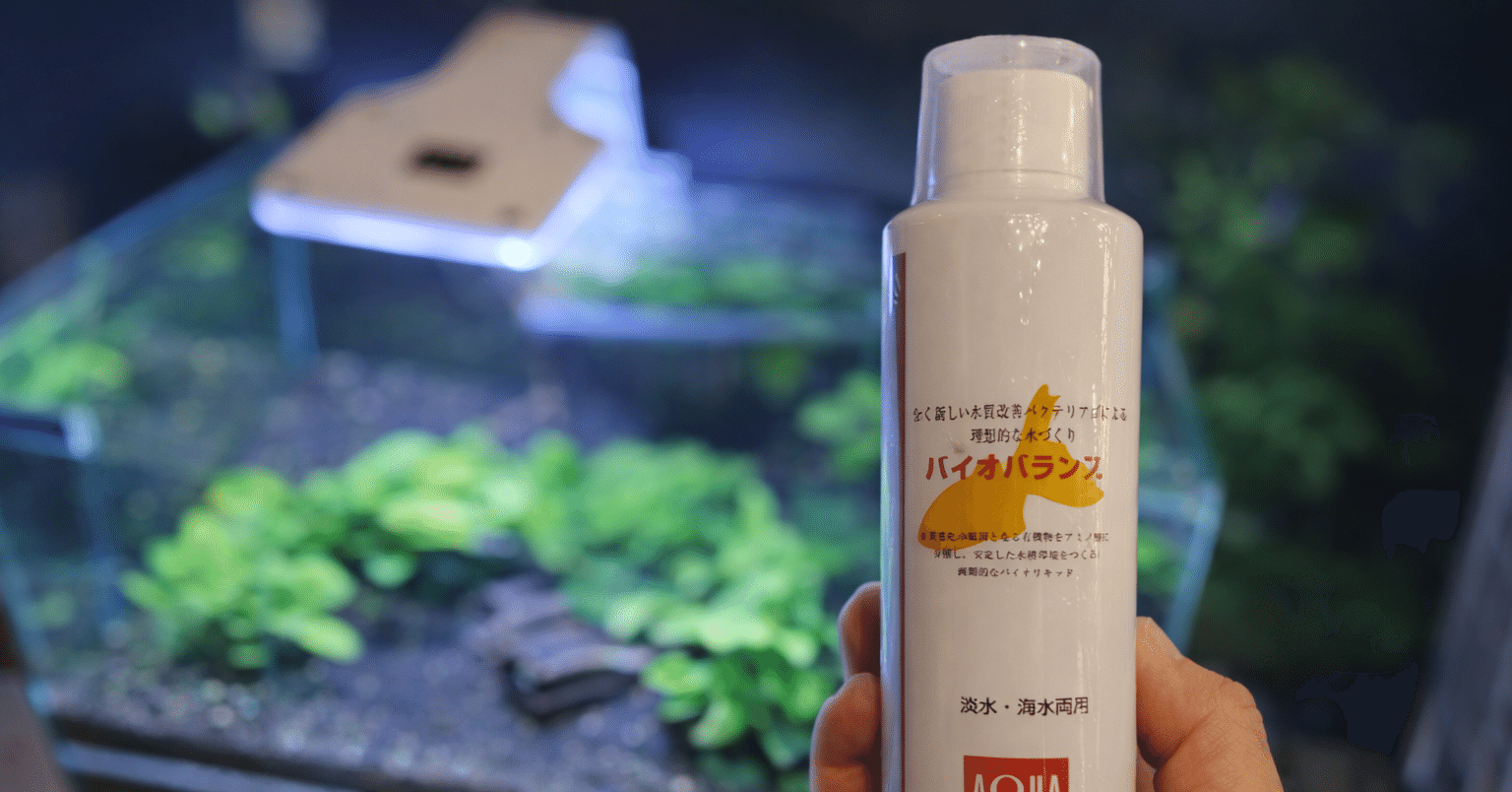 バクテリアは、見えない掃除屋さん｜アクアステージ21 SUNAMO店（内藤）