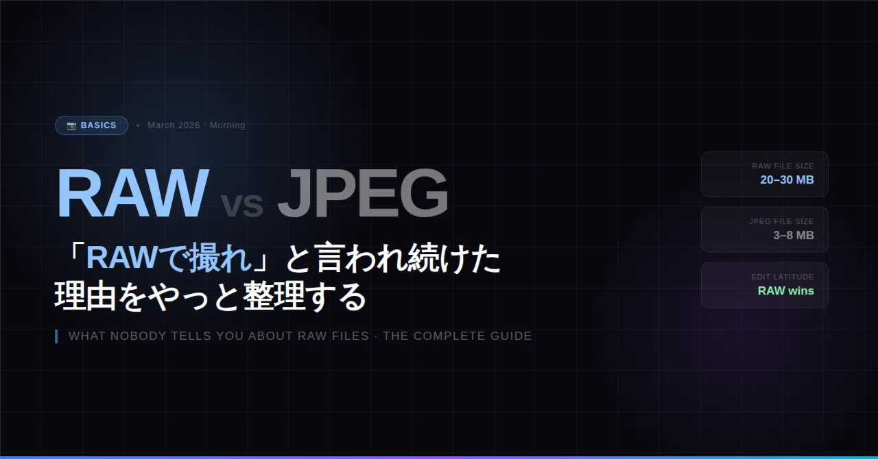 The Difference Between RAW and JPEG: Organizing the Reasons Why You Are ...