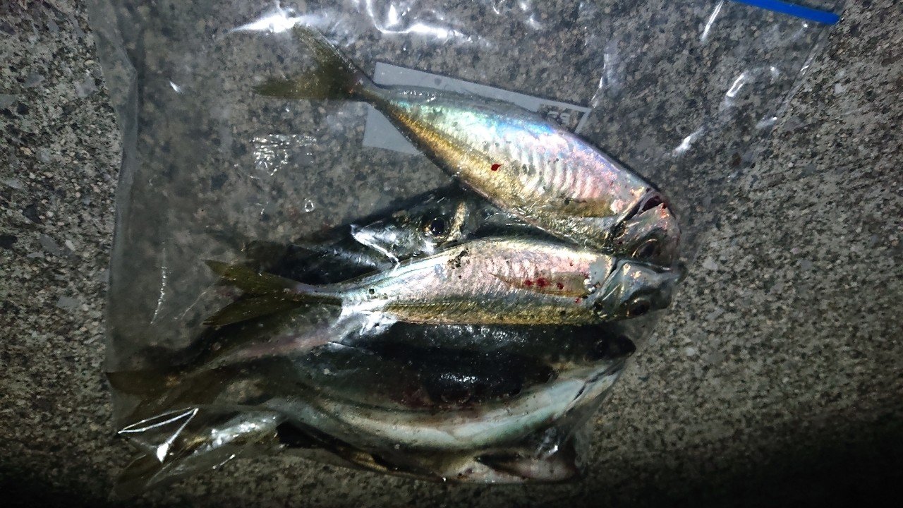 アジ 広島県 好調ポイント Fish Killer Note
