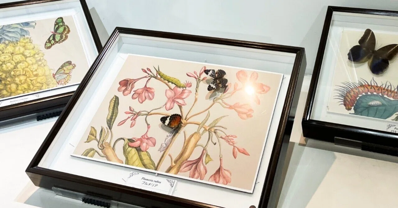 「一輪の薔薇と、近寄る昆虫」（未来絵画） 一輪の薔薇と、近寄る昆虫」（未来絵画） 32羽の黒鳥 – 新宿眼科画廊