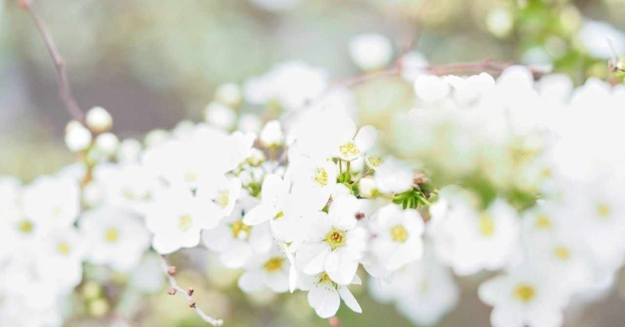 頭痛対策 の新着タグ記事一覧 Note つくる つながる とどける