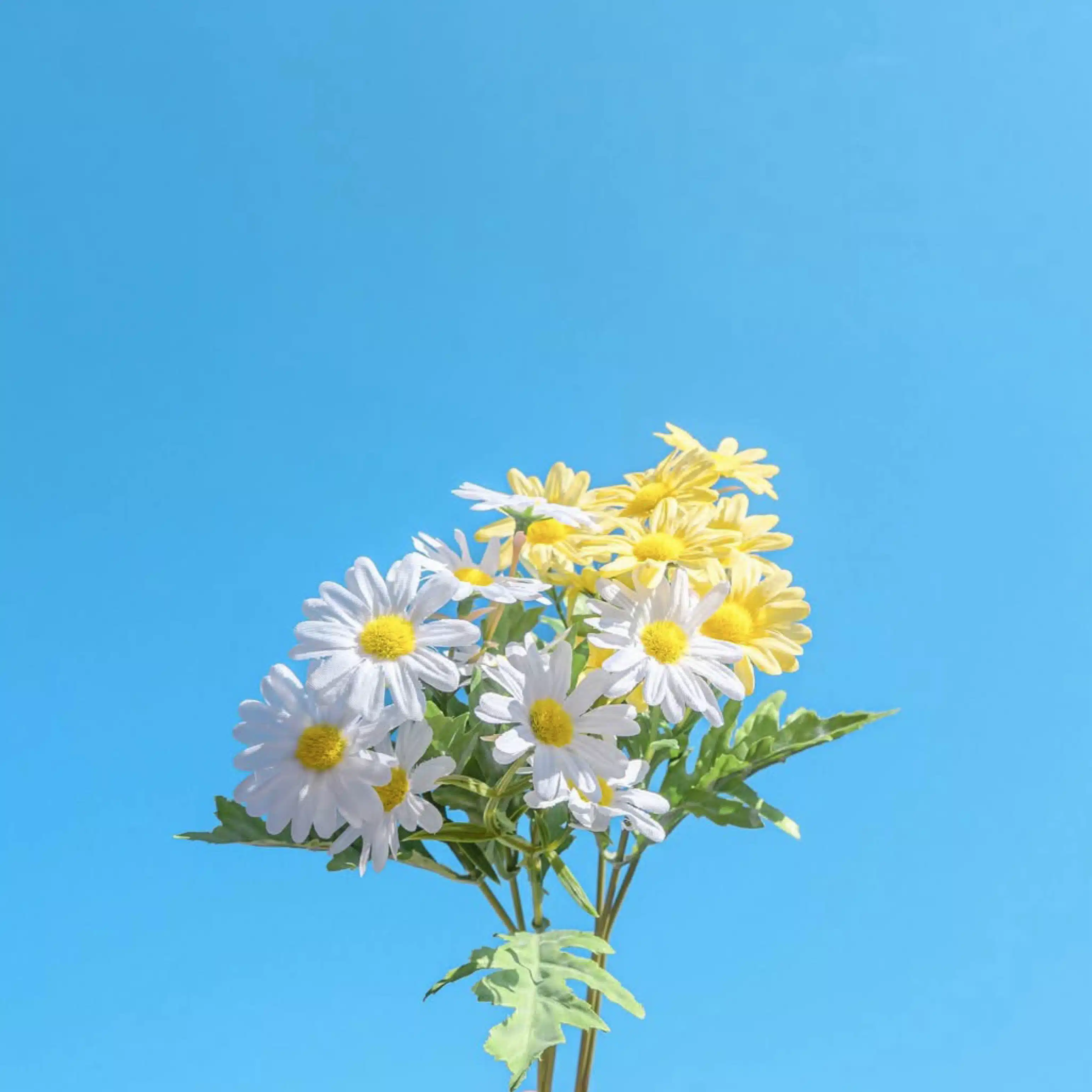 里咲