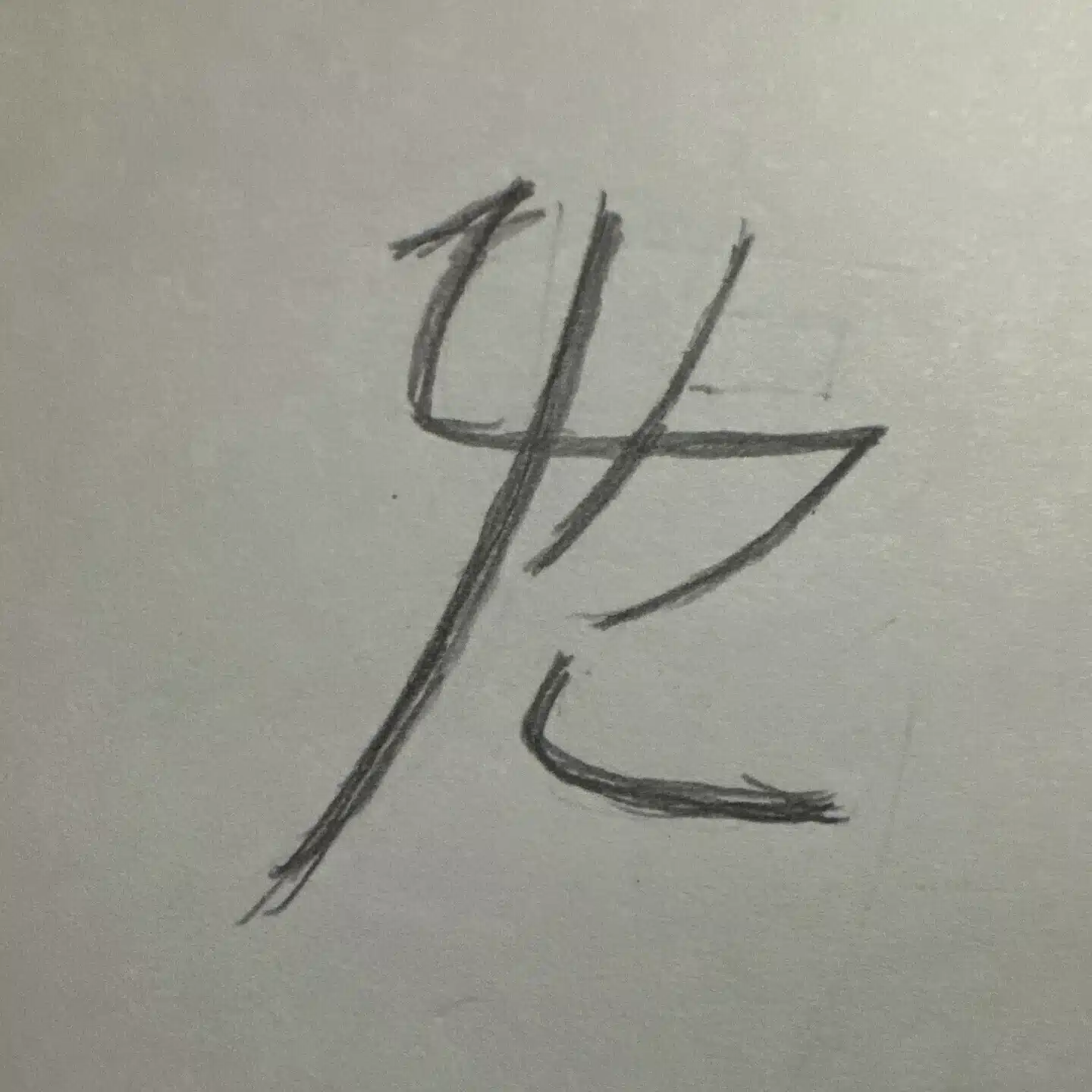 姫虎(ひめこ)