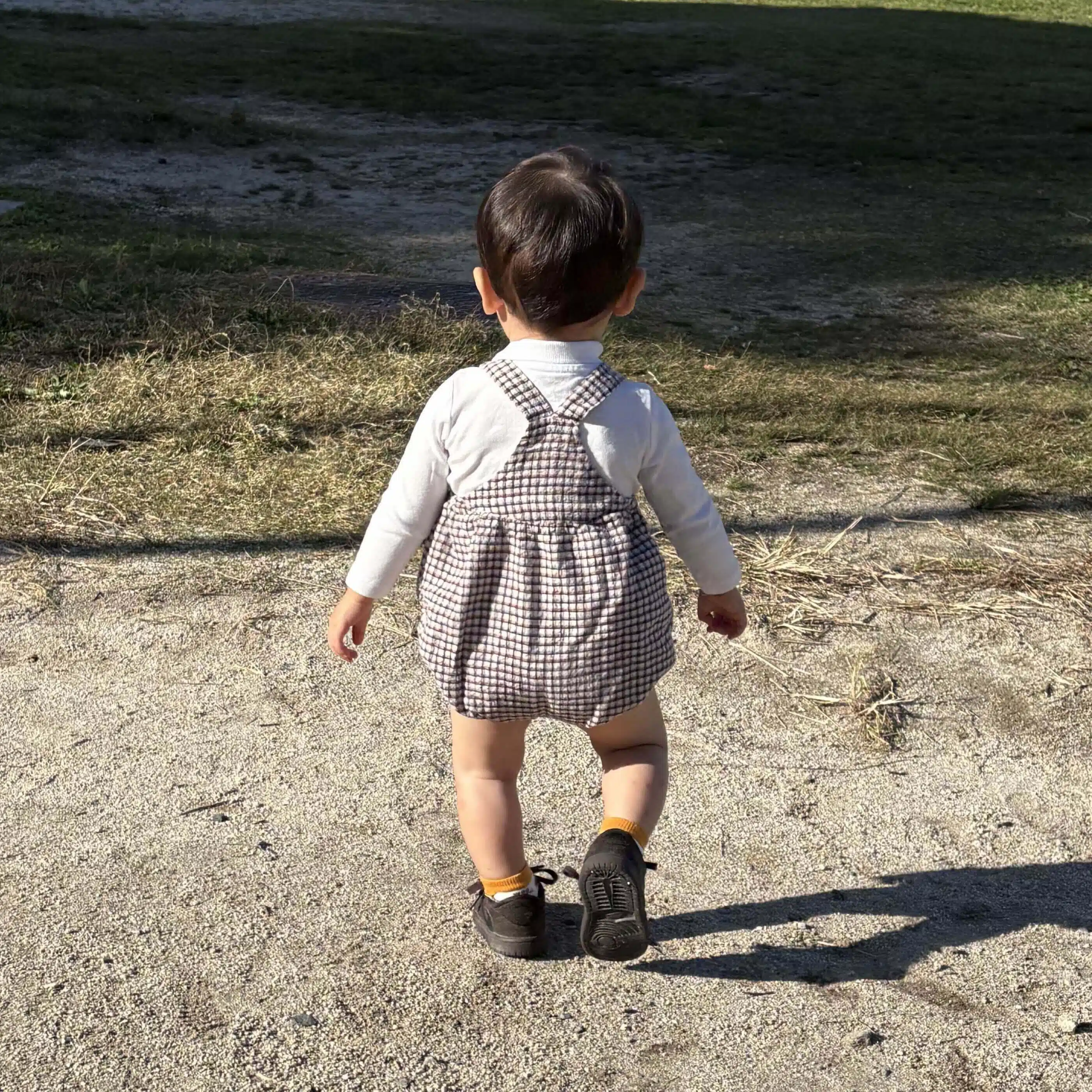mayu