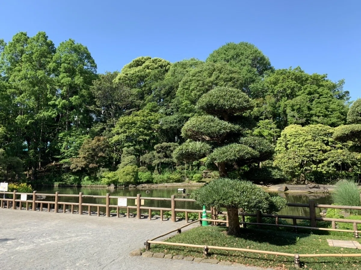 画像5