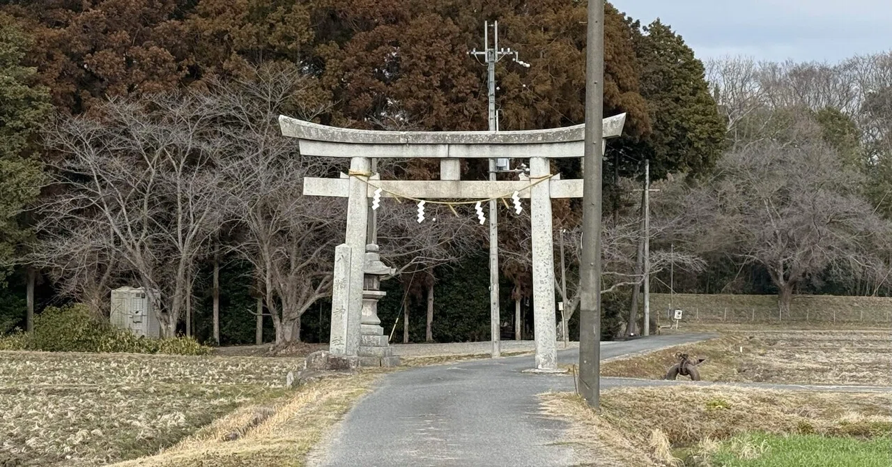 5600 八幡神社（若宮八幡神社） 滋賀県東近江市宮井町｜日本中全ての