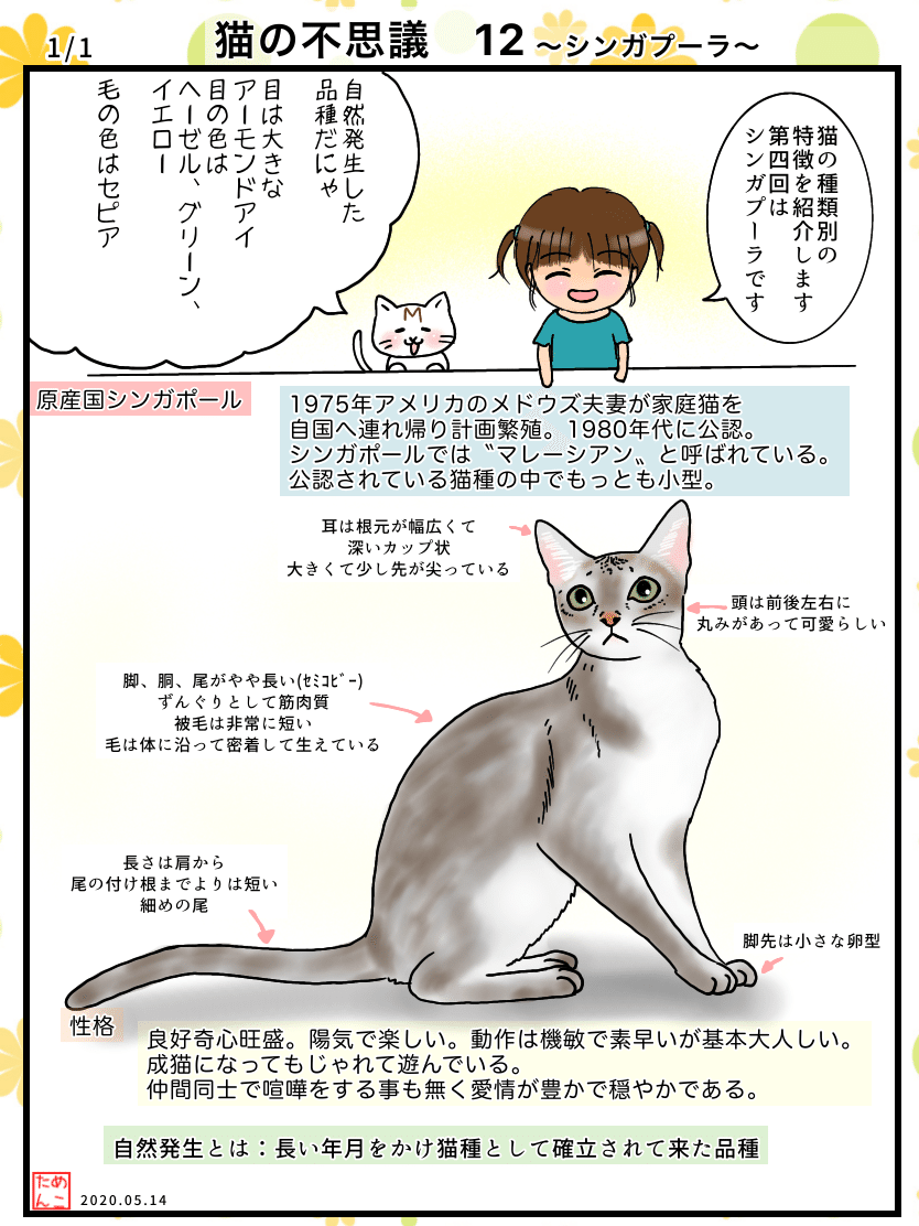 猫の不思議12 シンガプーラ めこたん 漫画 イラスト Note