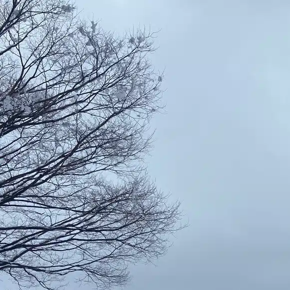 なた