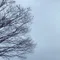 なた