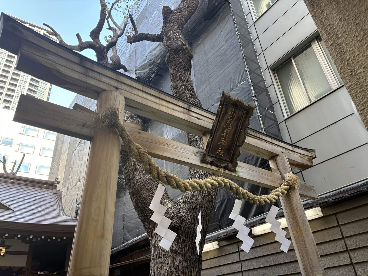 最強開運日の3月5日⛩少彦名神社に行ってきた話⛩｜あゆ⛩神社と癒しと