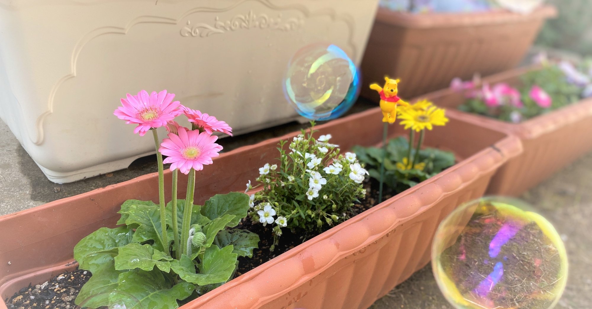 プランター栽培をはじめたら ネット検索から自由に風通しよく過ごそうと思った 谷川さや花 Note プランター栽培をはじめたら ネット検索から自由に風通しよく過ごそうと思った 谷川さや花 Note