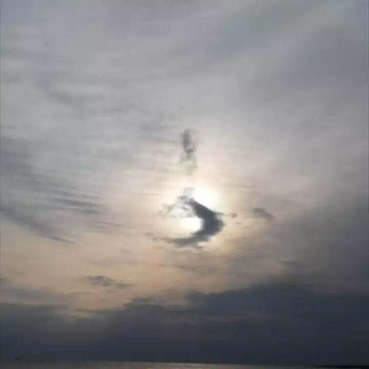 Rico Mosscual