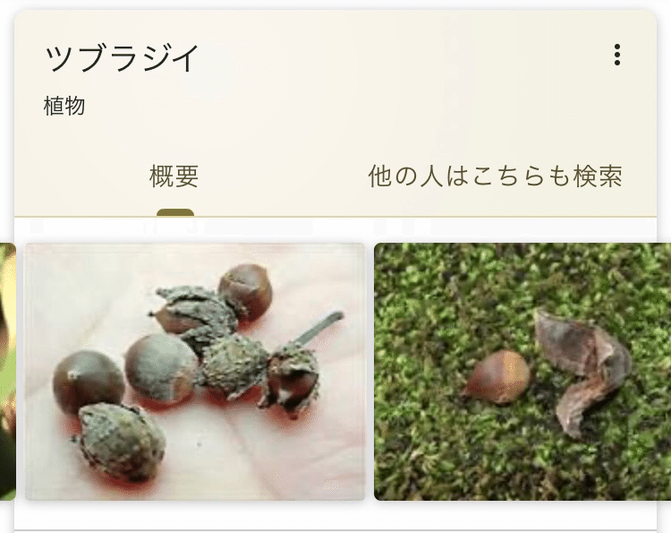 毎春感じるあの薫り とまる Note