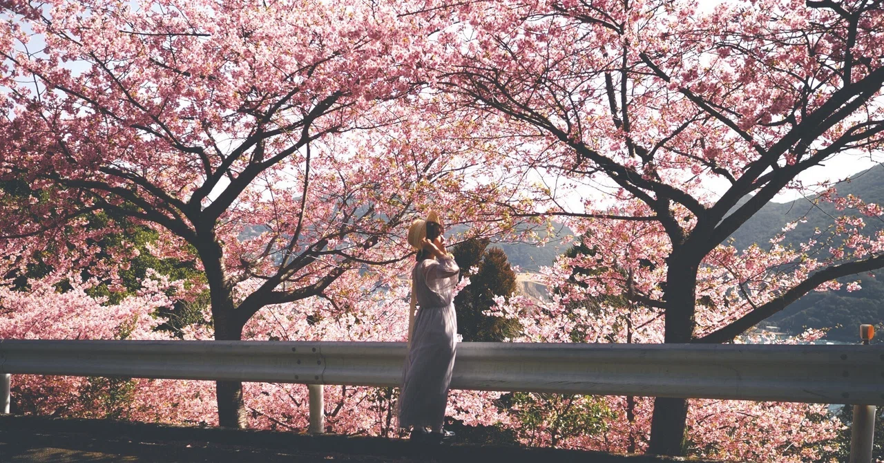 春は苦手だ/OM-3と春を迎える|にたり| 写真愛好家