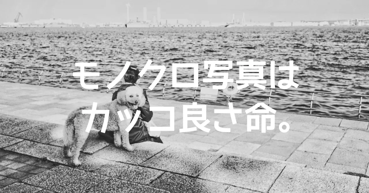 モノクロ写真はカッコ良さ命！｜🅣ⓄⓀⓎⓄ Ⓢ🅣ⓇⒺⒺ🅣 🄿🄸🅇