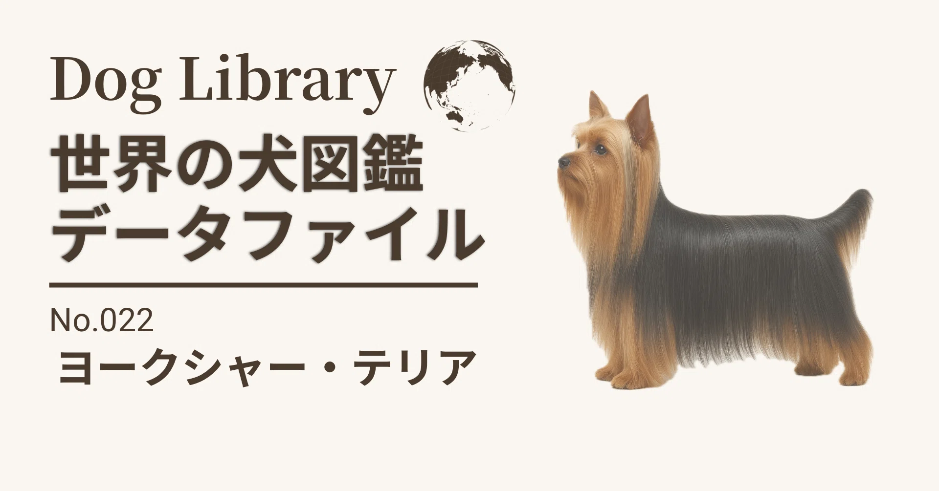ドッグライブラリ|世界の犬図鑑データファイル:ヨークシャー・テリア ドッグライブラリ|世界の犬図鑑データファイル:ヨークシャー・テリア