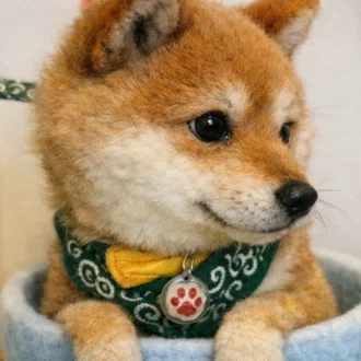 ぼぶりきyoko