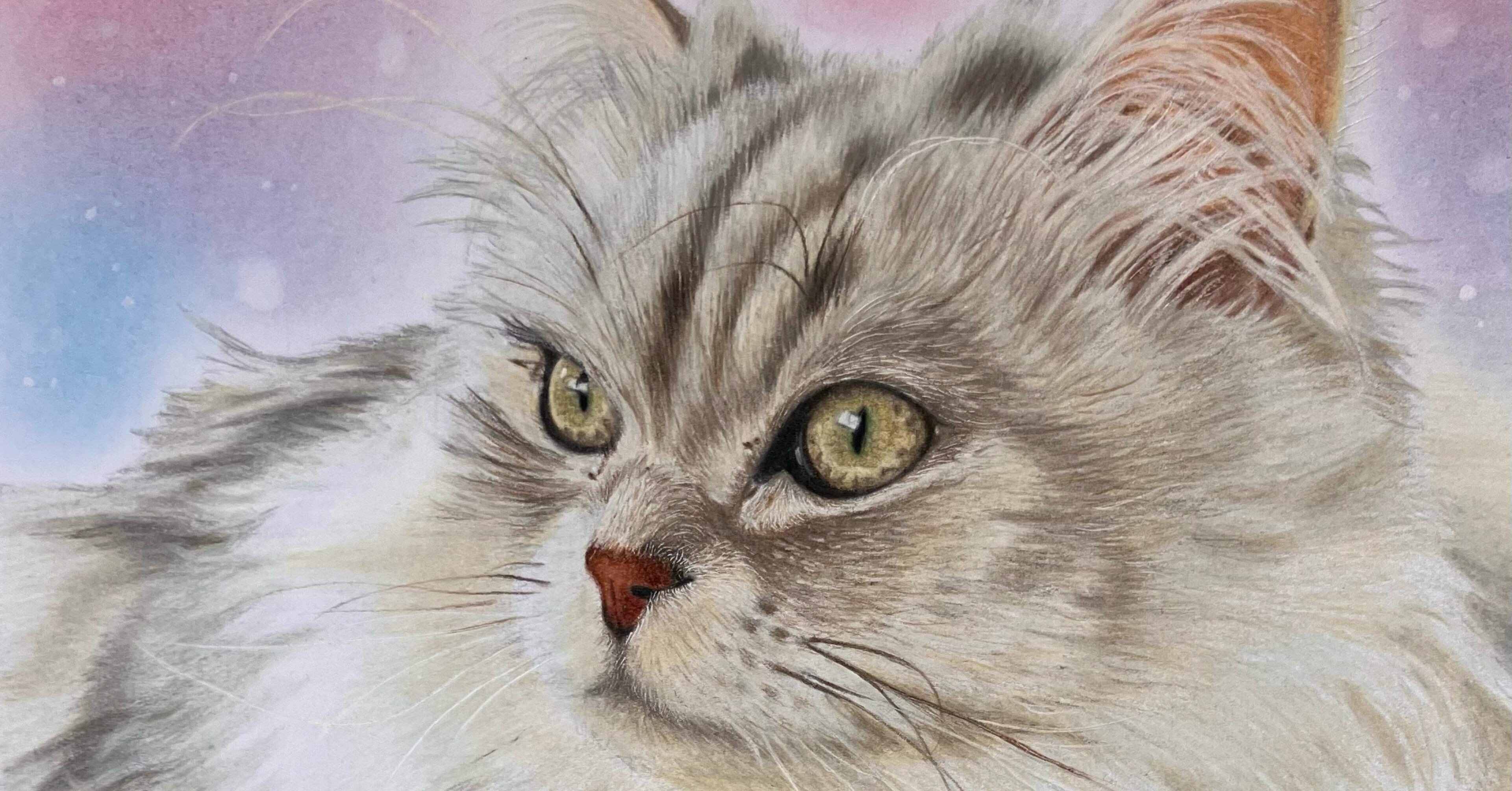 色鉛筆画ネコ😺親バカ話。｜gummychokonote