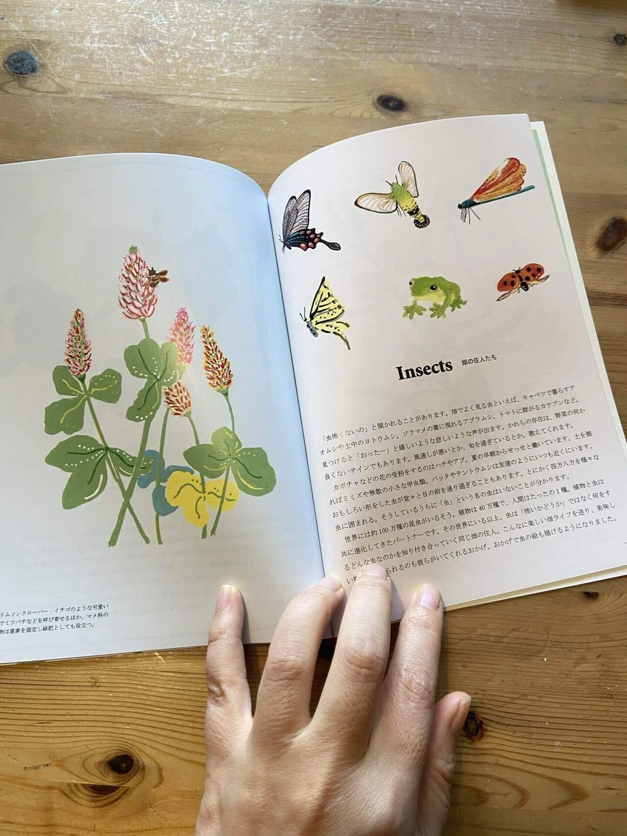ZINEのこと。｜マチノニワ/ イラストレーター