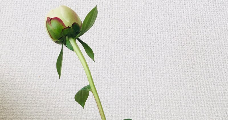 一輪の花がくれる生命のちから なつ Note