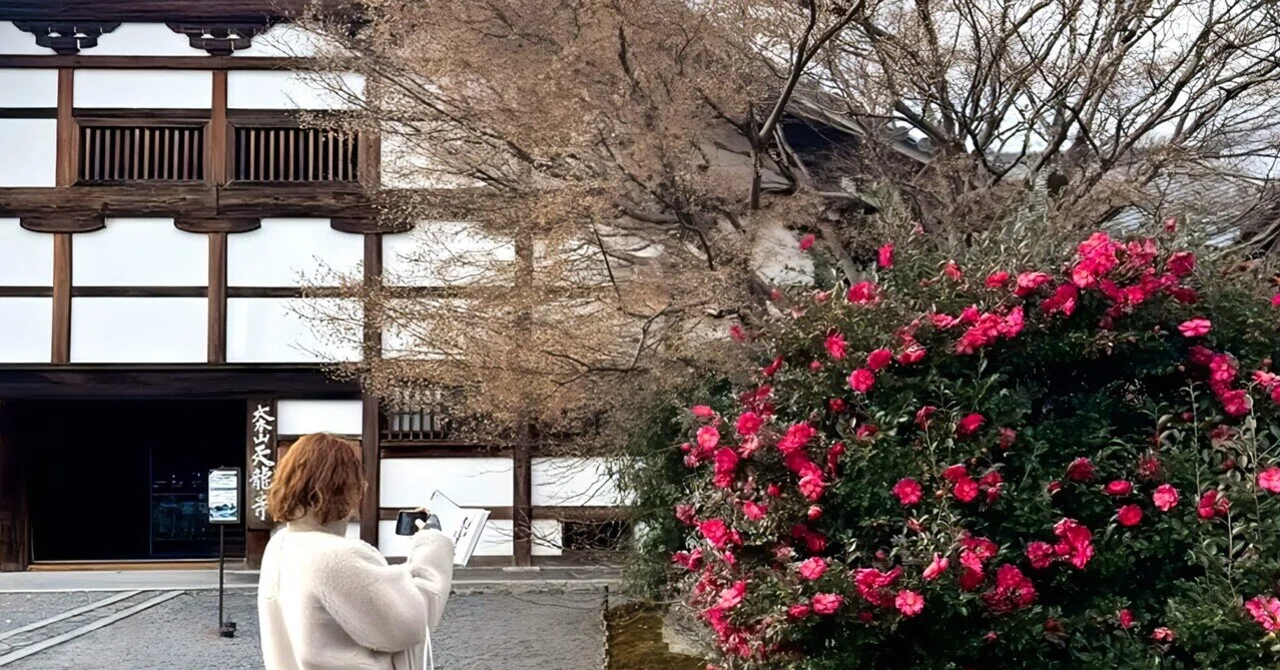22年ぶりの天龍寺。祖母の声が、庫裏の前でよみがえった【京都・嵐山