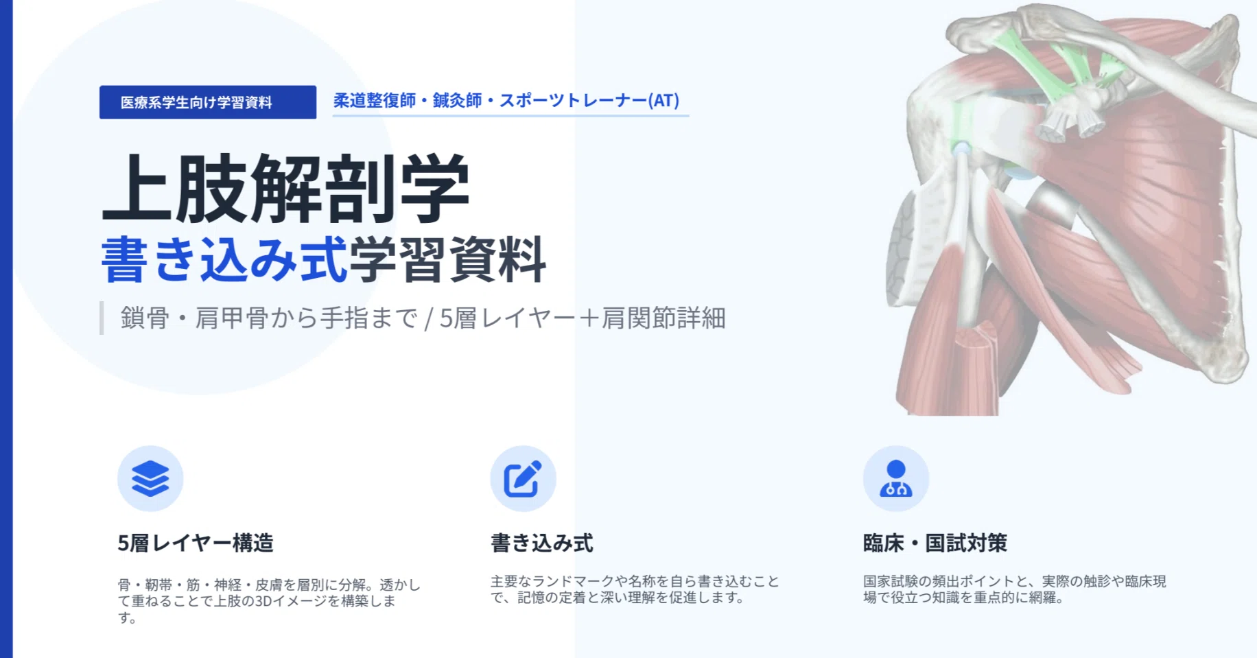 無料配布】上肢の解剖を「5層レイヤー」で理解する書き込み式資料を
