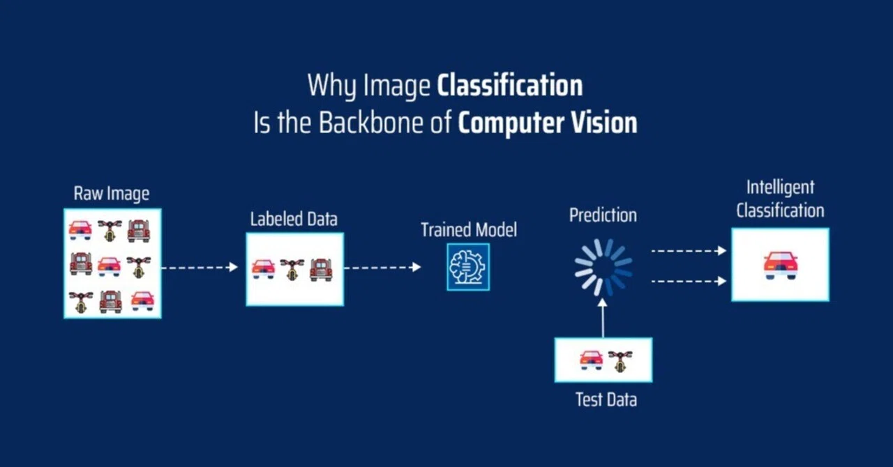 Why Image Classification Is the Backbone of Computer Vision｜Anolytics