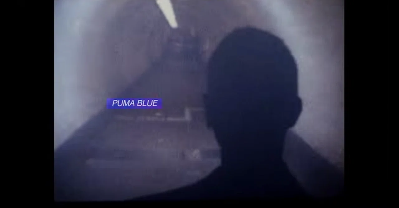 蒼き憂鬱 ー Puma Blue 15作品との対峙｜べチェ