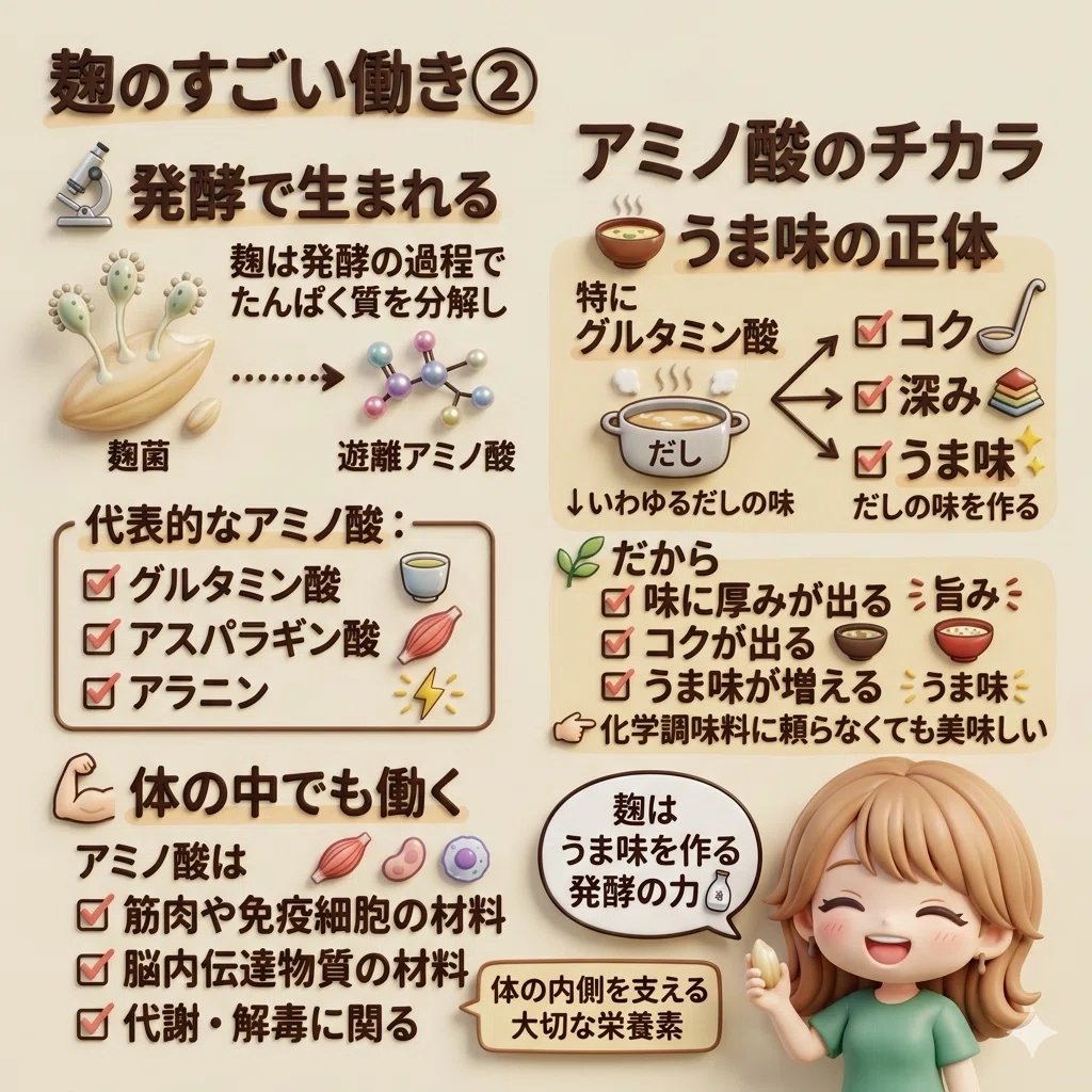 アミノ酸のまとめ