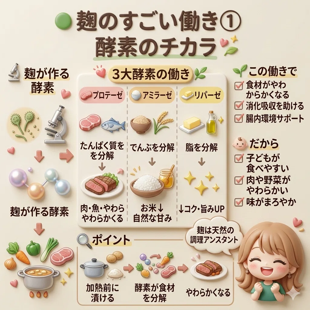 酵素のチカラまとめ