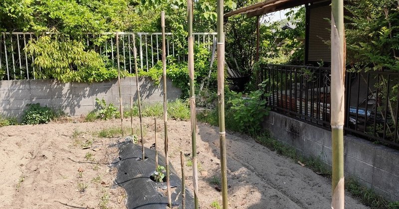 起業は消去法である 島内起業を目指す文系院卒の大ボラ吹き からちゃん 島旅農園 ほとり Note