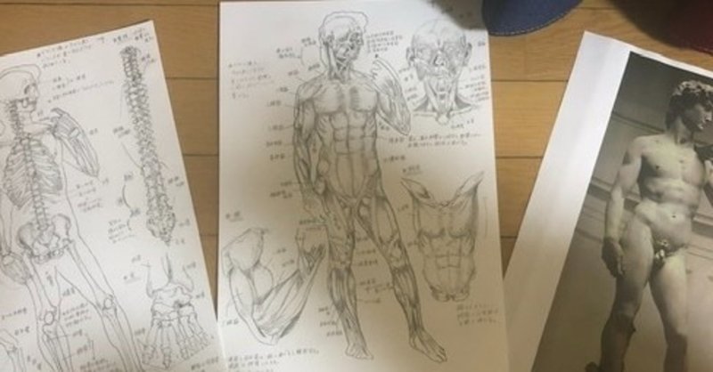 日々ムサビ つうしん 美術解剖学 こたけまりさん Note